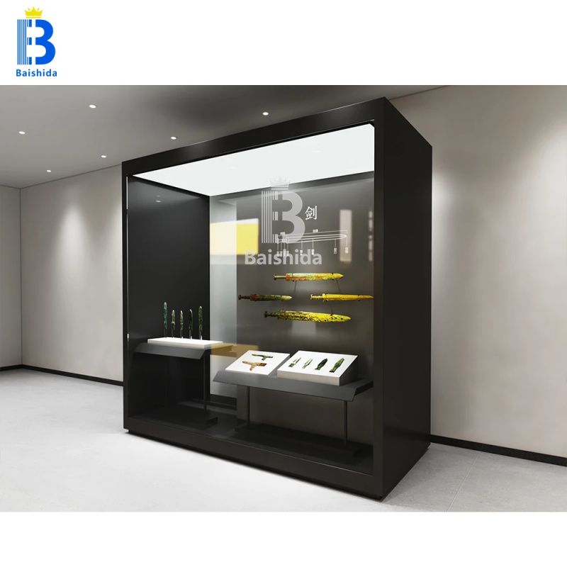 Szafka ekspozycyjna muzealna n – Interior Design Exhibition recenzja i cena